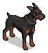 Vigilant Guard Dog