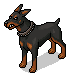 Vigilant Guard Dog