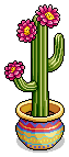 Prickly Cactus