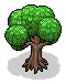 Miniature Tree