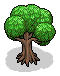 Miniature Tree