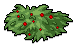 Neopets Bush