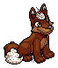 Chocolate Lupe