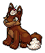 Chocolate Lupe