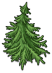 Neopets Spruce