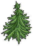 Neopets Spruce
