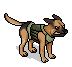 Hector the German Shepherd