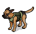 Hector the German Shepherd