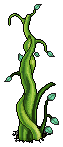 Gigantic Beanstalk