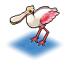 Spoonbill