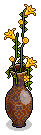 nft_bonusrare16_1_4 name