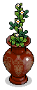 nft_bonusrare16_3_3 name