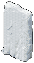 Plesiosaurus Fossil