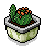 Potted Cactus 1