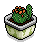 Potted Cactus 1
