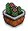 Potted Cactus 2