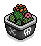 Potted Cactus 3