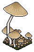 Eco Mushroom 1