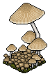 Eco Mushroom 1