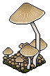 Eco Mushroom 1