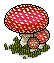 Eco Mushroom 2