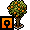 Orange Tree