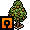 Pear Tree