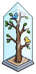 Exotic Birds