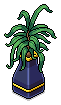 Indigo X Plant