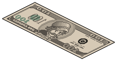 $100 Rug