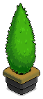 Forge Juniper