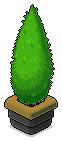 Forge Juniper
