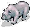 Silver Bear