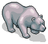 Silver Bear