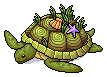 Worldly Turtle