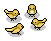 Visiting Birds
