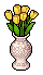 Sunshine Yellow Tulips