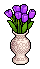 Rich Purple Tulips