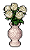 Royal White Roses