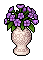 Purple Amaryllis