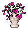 Pink Peruvian Lilies