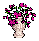 Pink Peruvian Lilies