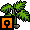 Cheese Plant