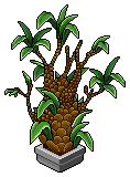 nft_h26_overgrownplant name