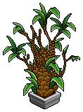 nft_h26_overgrownplant name