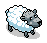 Sally the Sheep