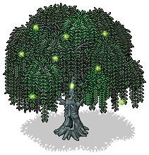 Weeping Willow