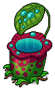 Pitcher Plant