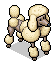 Cute Poodle