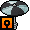Rare Black Parasol